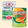 Sơn Lót Chống Kiềm Vina Orient Sealer L3.8 3.8Lit